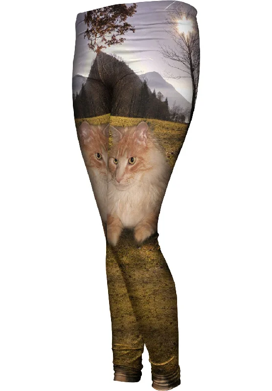 Buy Now Cool Hill Cat