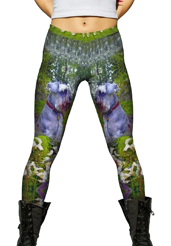 Shop and Save Garden Schnauzer