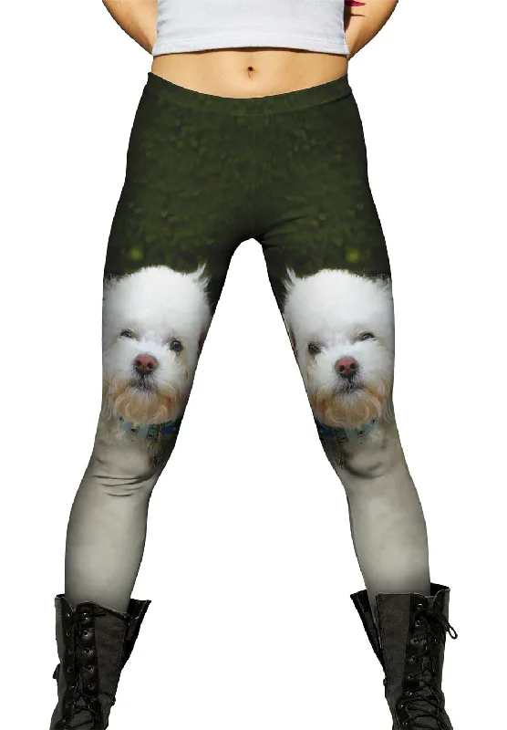 Savings Galore Little White Poodle