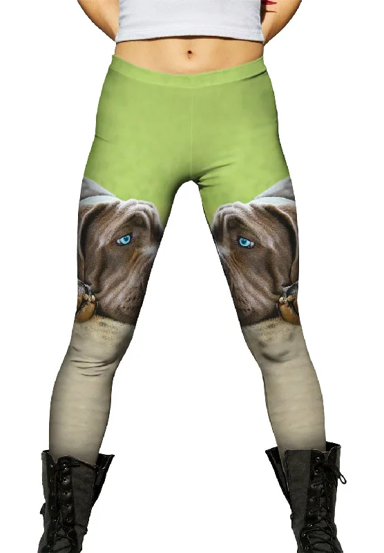 Bonus Savings Lucy Sad Mastiff
