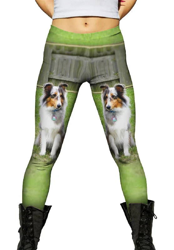 Steals and Deals Spirited Sheltie