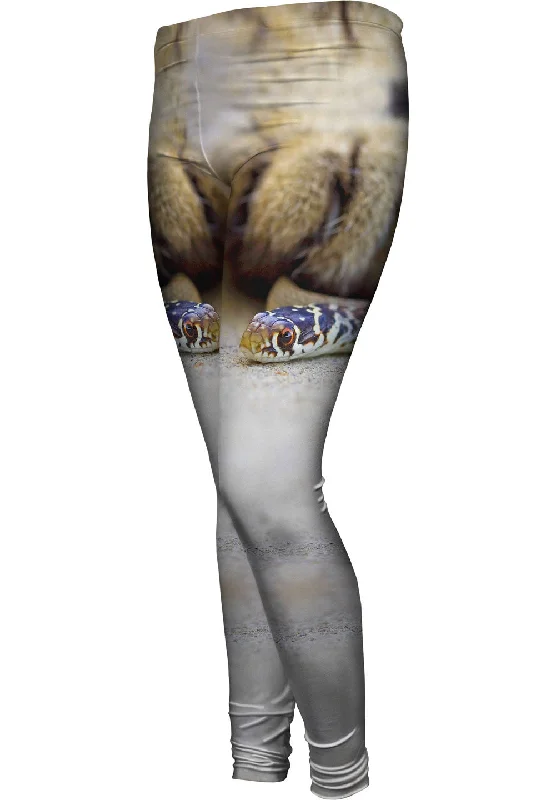Price Fest Swift Small Snake